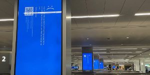 The update by CrowdStrike caused a segmentation fault, and led to a “Blue Screen of Death” on Windows boot-up. A scene from LaGuardia Airport, New York City. (Smishra1/Wikimedia Commons)