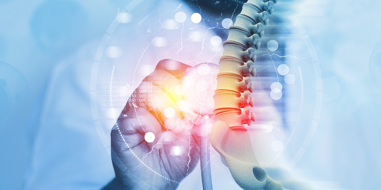 Human spine. Representational Image. (iStock)