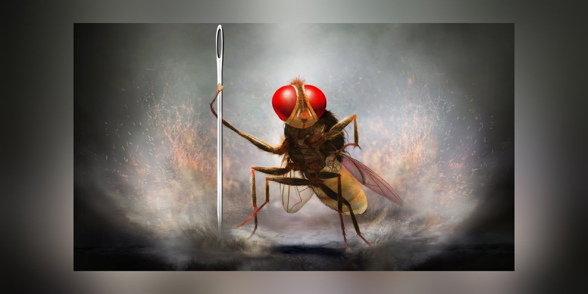 SS Rajamouli's Eega was a sensation upon its release in 2012