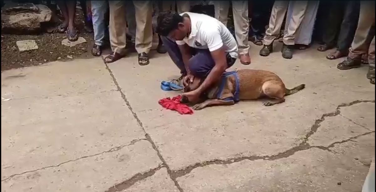 Sniffer dogs helping the police in search operation Sniffer dogs helping the police in search operation