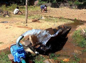 With assured irrigation through the mini-grid, farmers saw an increase in paddy yield by 52percent (Mlinda Charitable Trust)