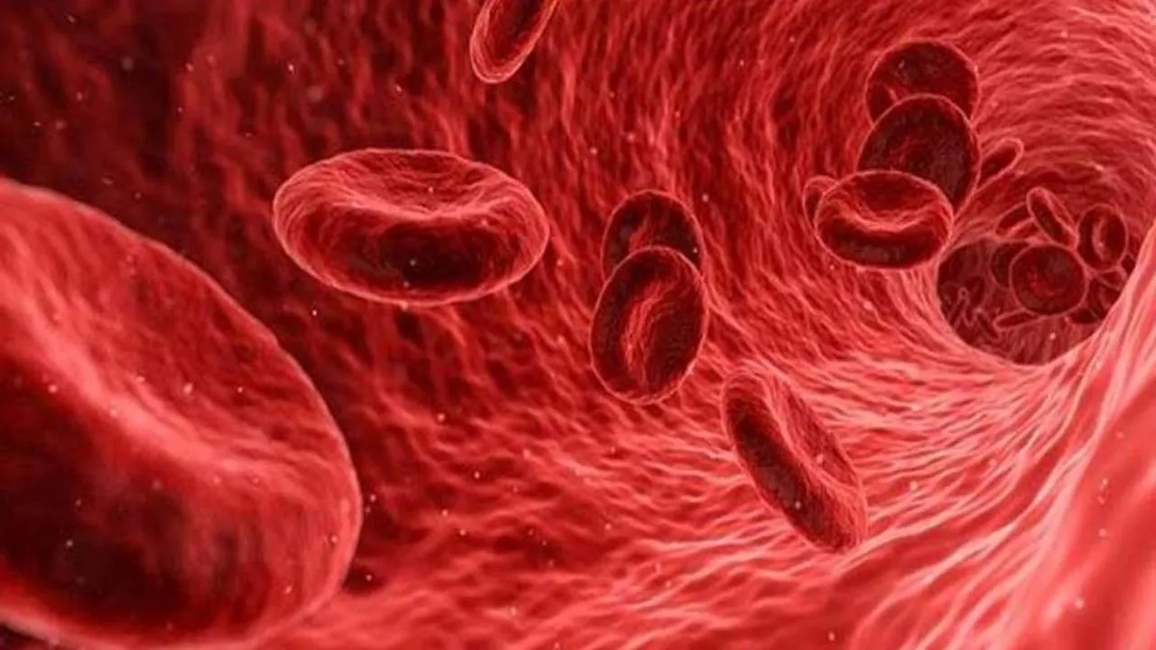 BloodCancer The registry will create a comprehensive database of potential donors, ensuring quicker and more accurate matches for leukemia patients struggling to find suitable stem cell donors. (Creative Commons)
