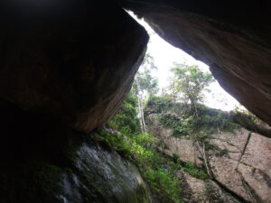 A view from Edakkal cave. (Asif K Karim/Creative Commons)
