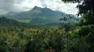 Chembra peak seen from Meppadi. (Stalinsunnykvj/Creative Commons)