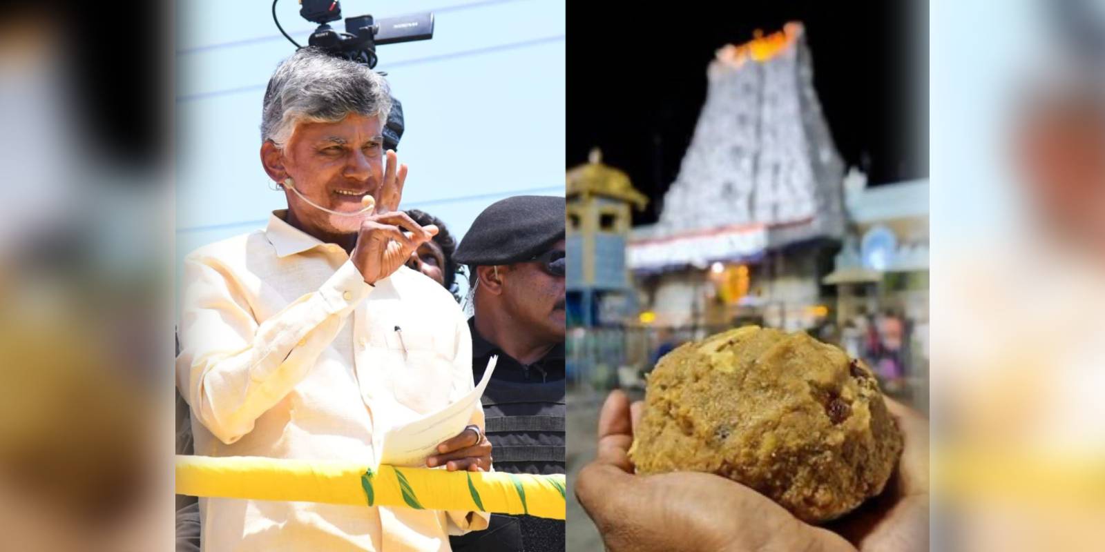 Claims of animal fat in Tirumala Laddu Claims of animal fat in Tirumala Laddu