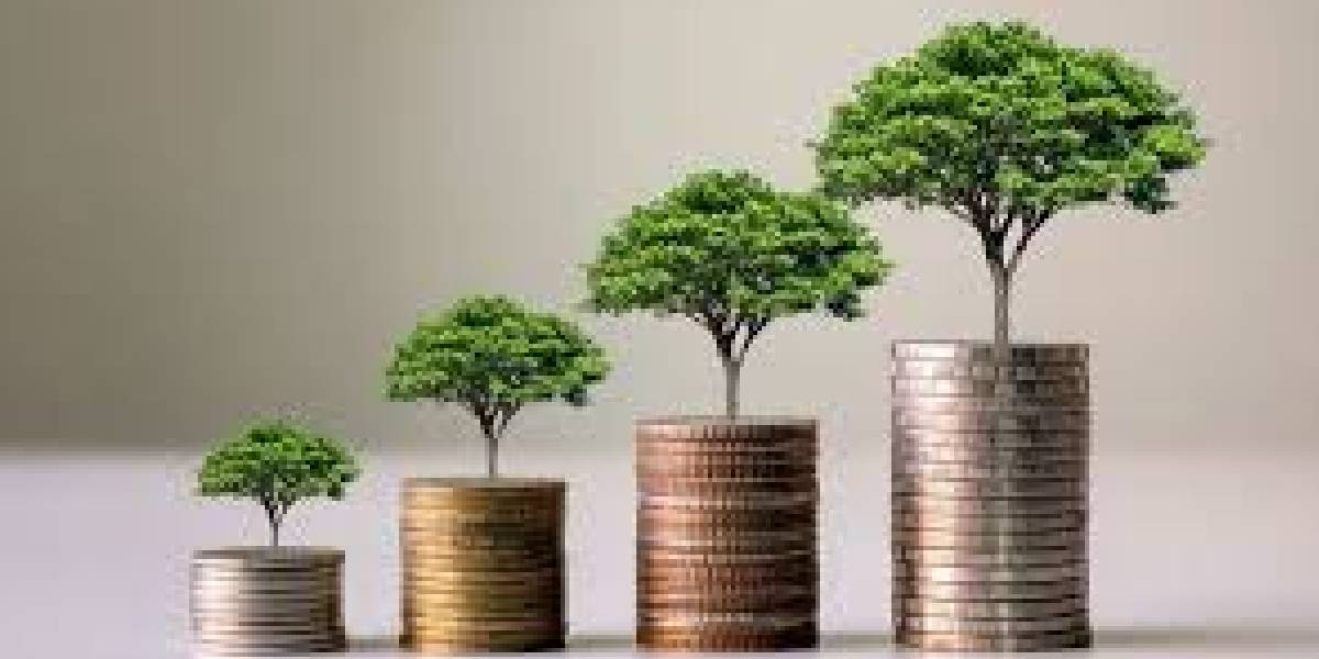 Funds from green deposits are meant to be channelled to environmentally-friendly, sustainable projects.