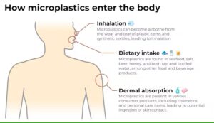 How microplastics enter the human body.