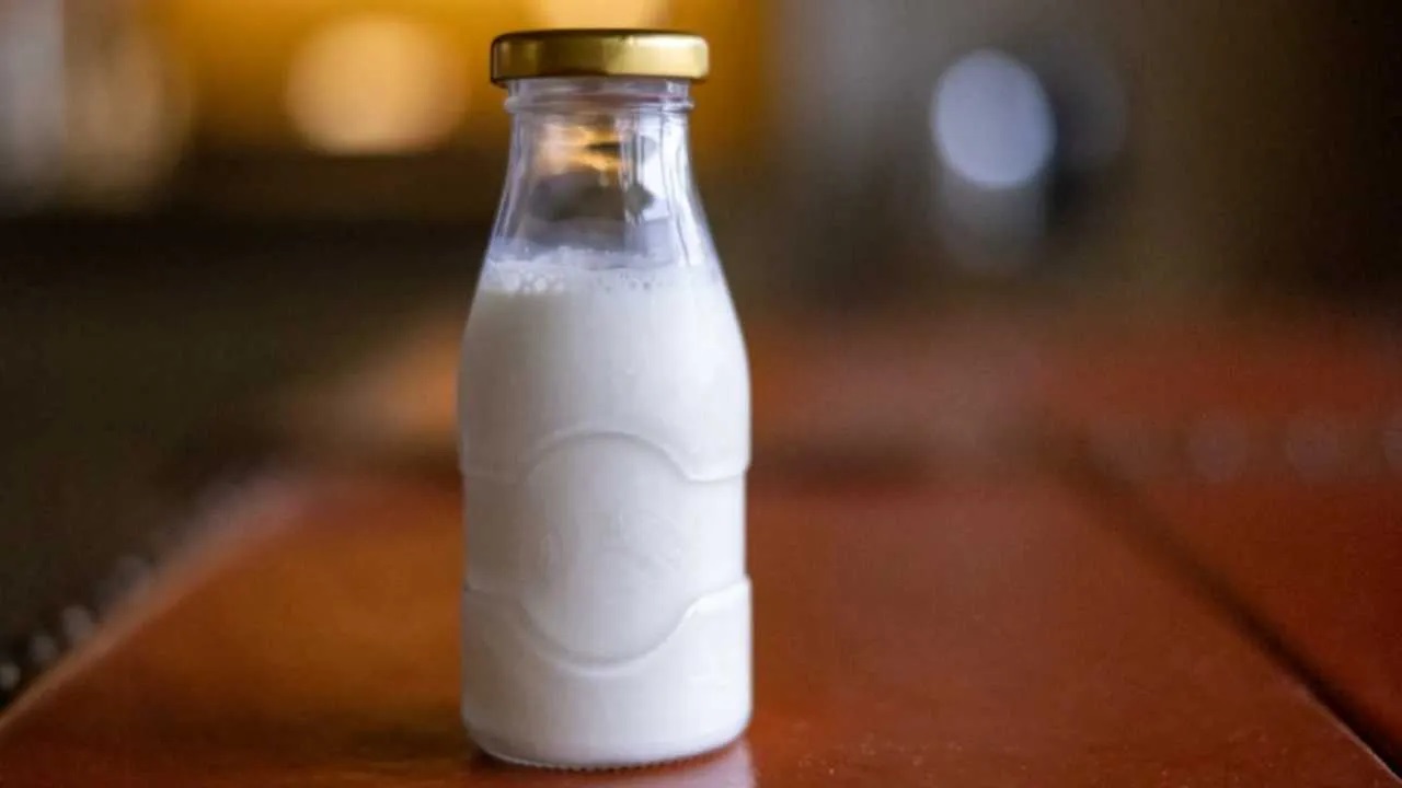 Milk Bottle of milk