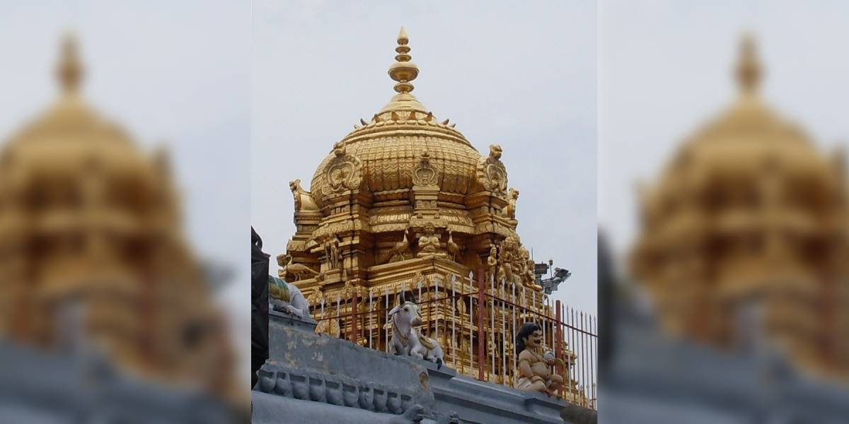 Amid laddu row, Tamil Nadu warns of legal action against rumours about Palani ‘panchamritham’