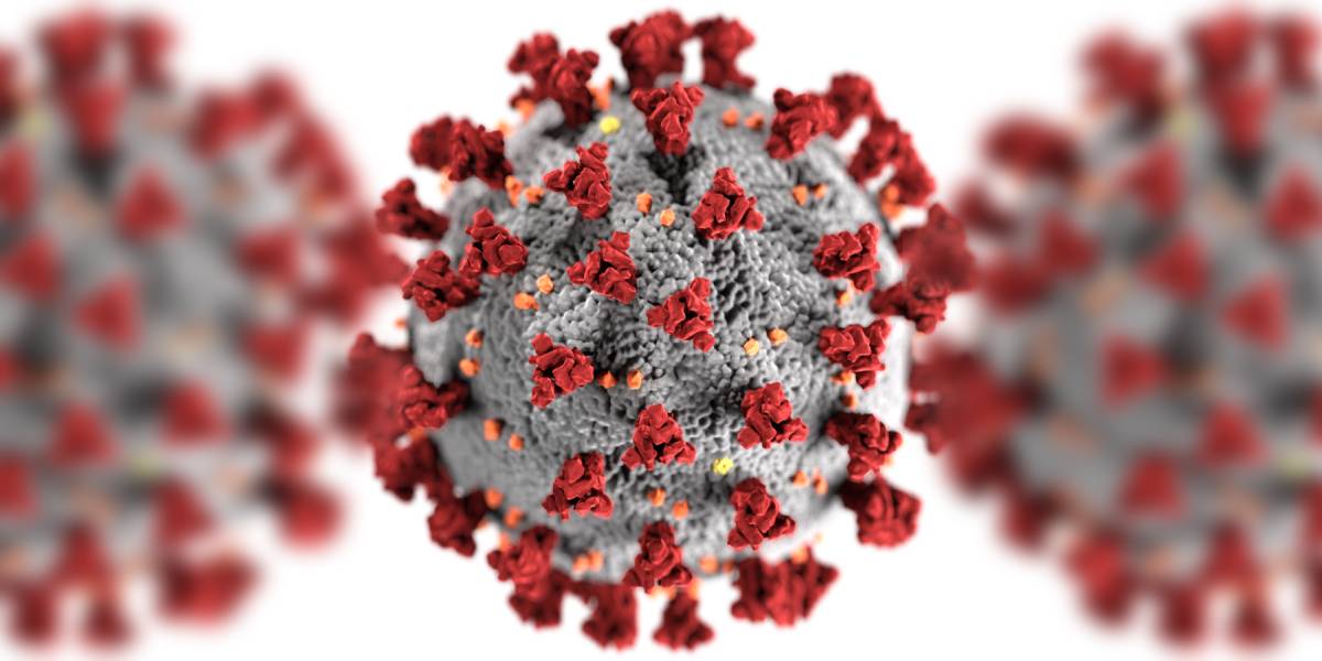 It’s inevitable there will be more influenza pandemics in the future. But it isn’t always the one we are worried about. (Wikimedia Commons)