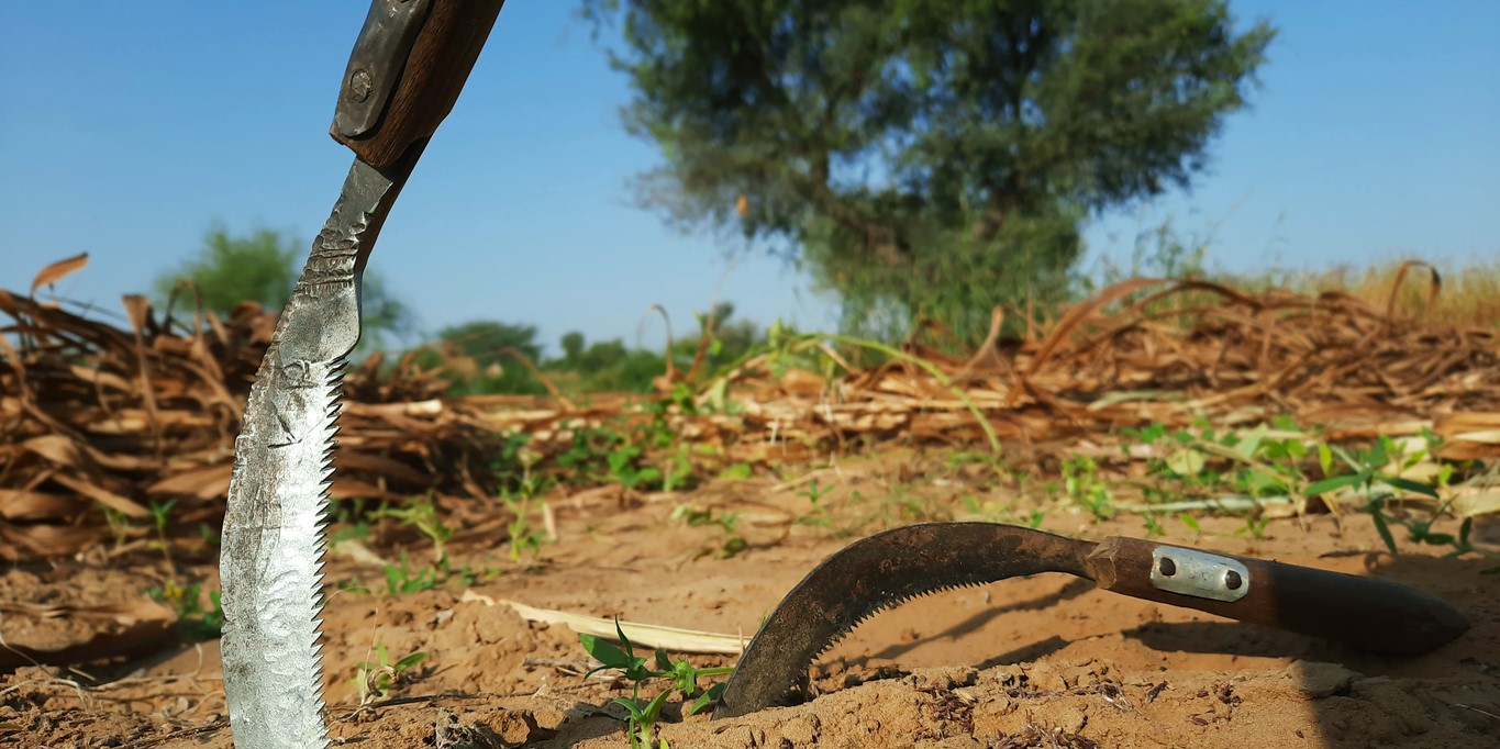 school student sickle Tirunelveli
