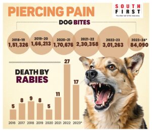 Kerala stray dog attacks graphics