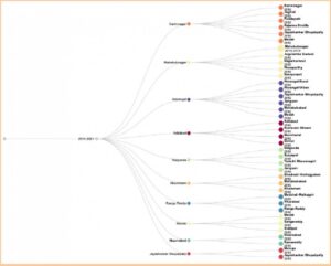 Illustration of District Splits in Telangana 2024-2021. Source: Analysis of media reports and publications by authors.