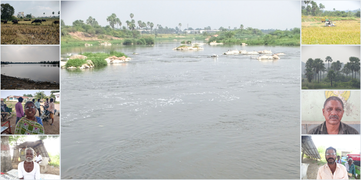 Pollution in the Musi river has caused problems for humans, animals, and plants alike as the people of Nalgonda continue to live by the stream