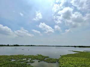 Restoration of Kadapakkam lake and eco park for North Chennai.