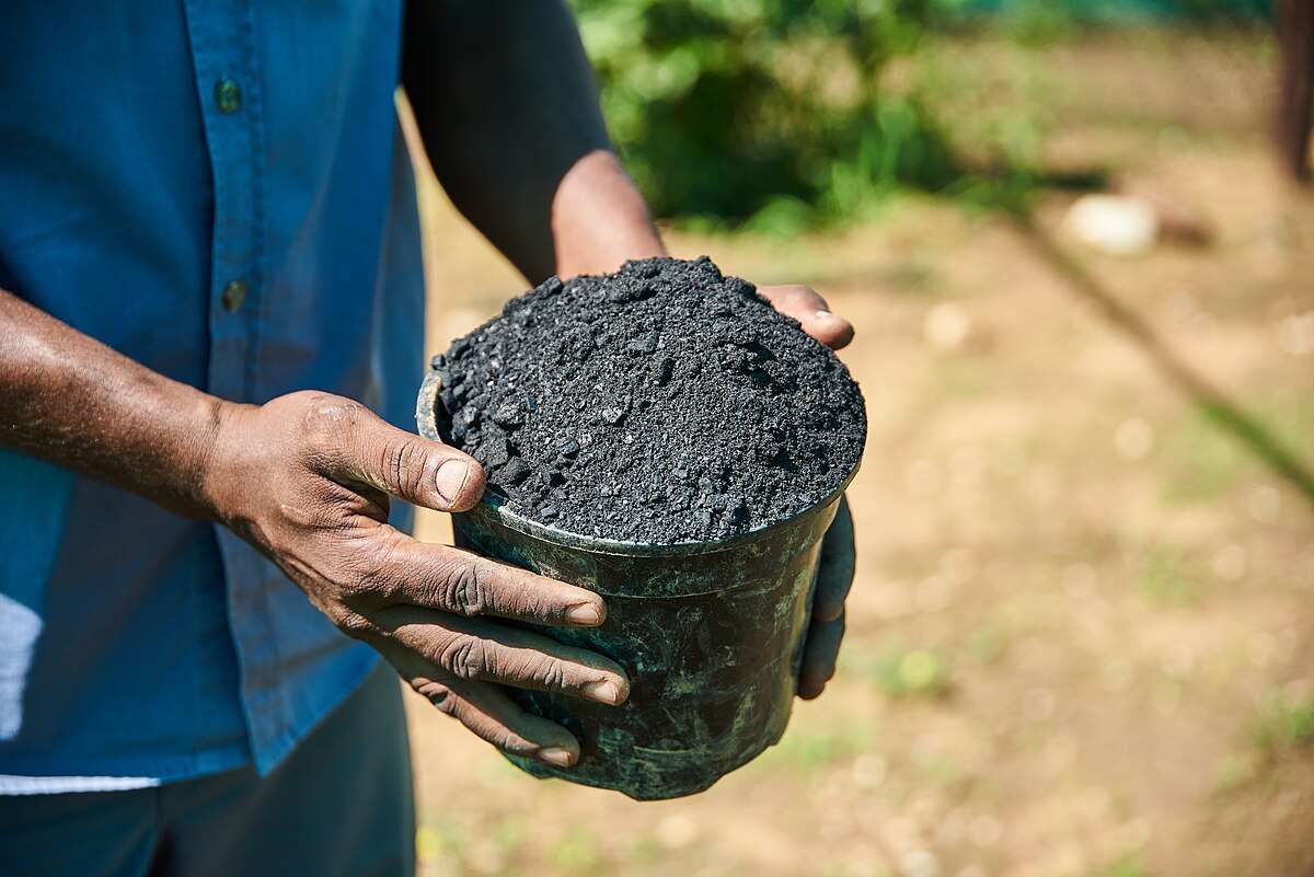 Unlike traditional charcoal used for fuel, biochar is primarily used as a soil amendment.