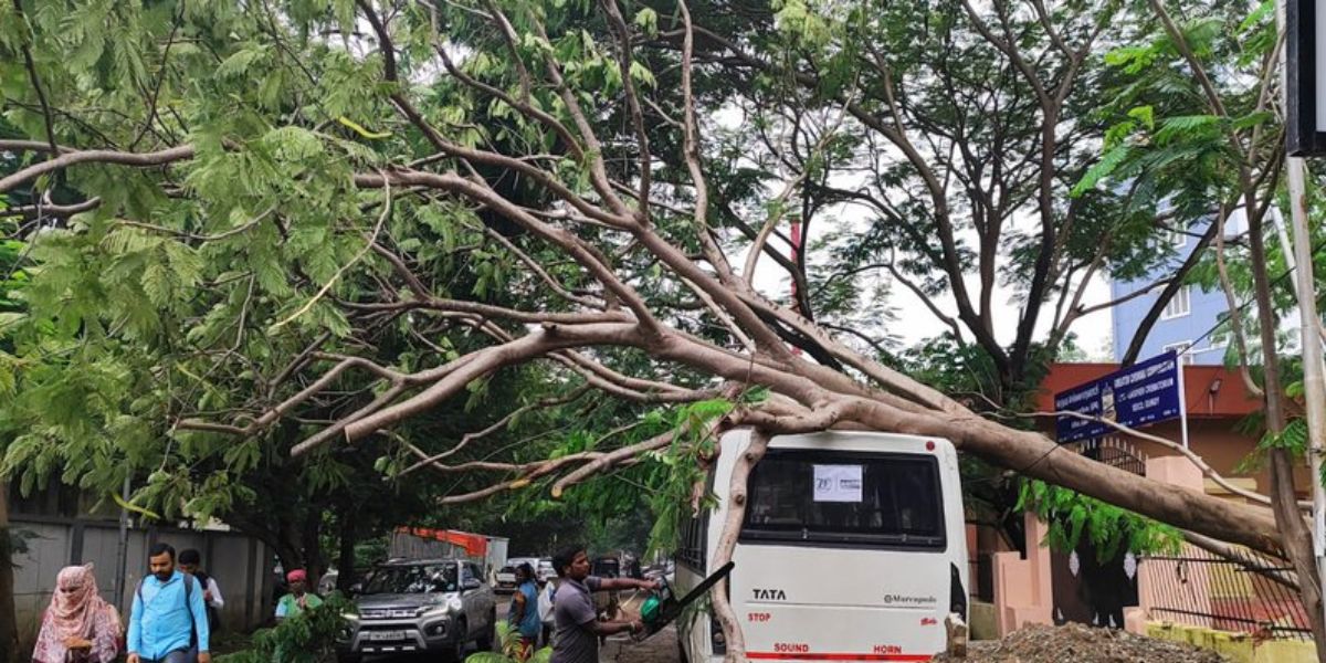 Heavy rain across Tamil Nadu as Cyclone Fengal inches closer