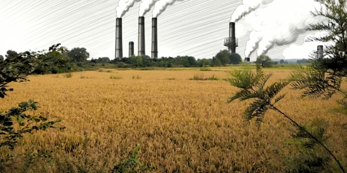 Land acquisition for Telangana pharma village project is spelling trouble in Vikarabad Land acquisition for Telangana pharma village project is spelling trouble in Vikarabad