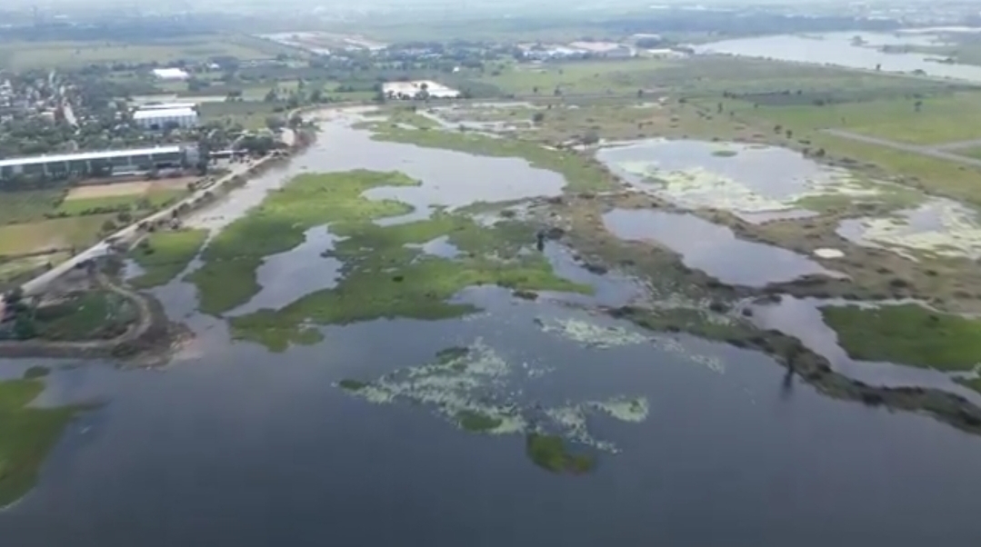 Restoring Kadapakkam lake into a eco-park