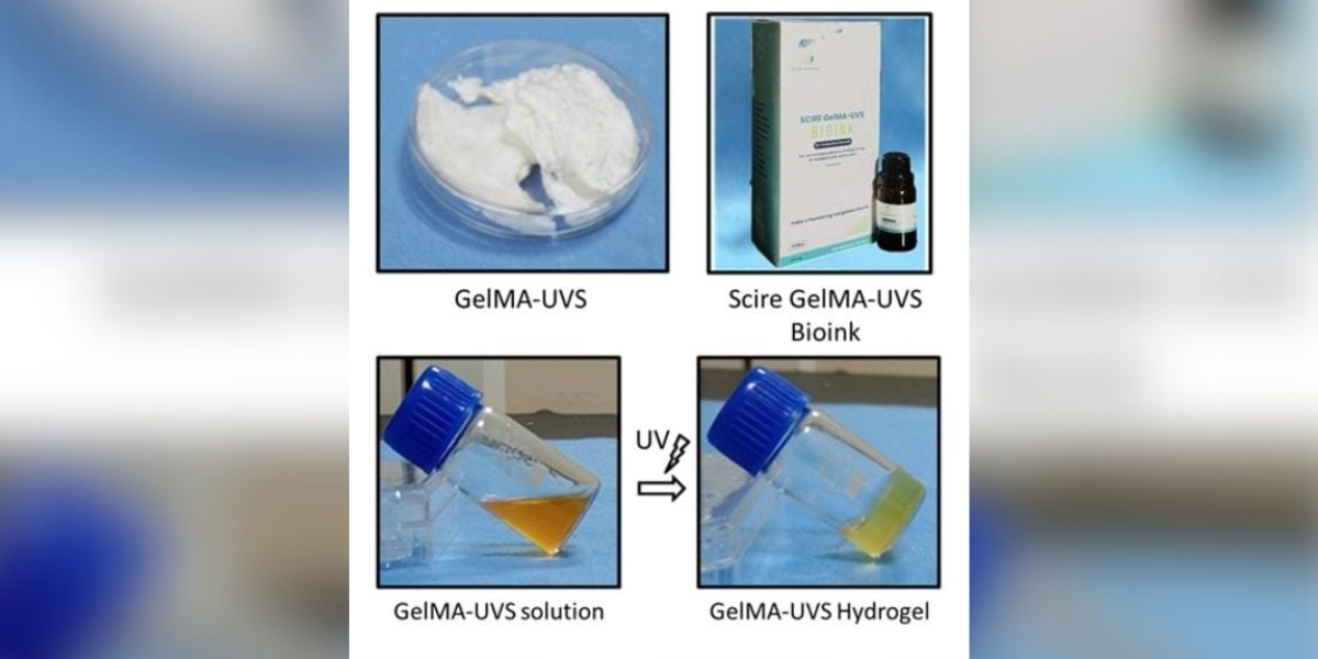 SCTIMST develops India's first patented indigenous bioink for advanced 3D bioprinting