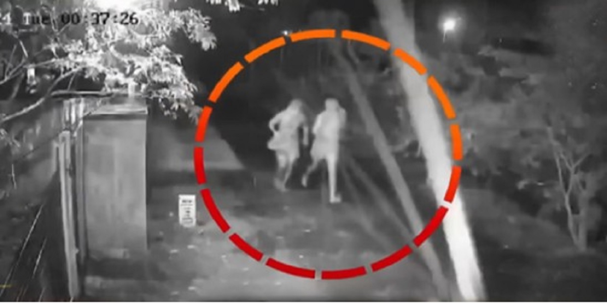 kuruva ganggg ‘Kuruva gangs’ in Kerala: A case of tradition, circumstances leading communities astray?
