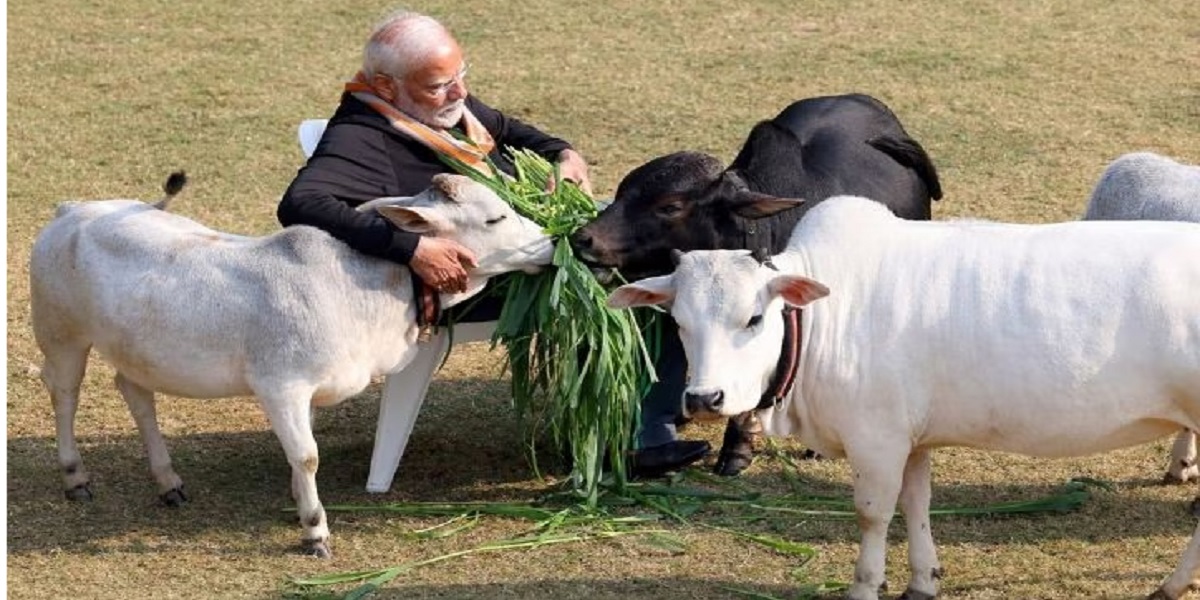 Modi’s sanction for mangers, green paint for houses  — misunderstandings in poll-bound Wayanad