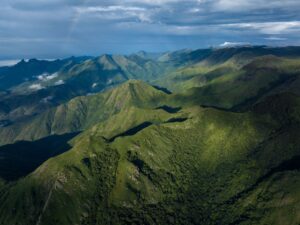 An image of the Nilgiris. (Supplied)