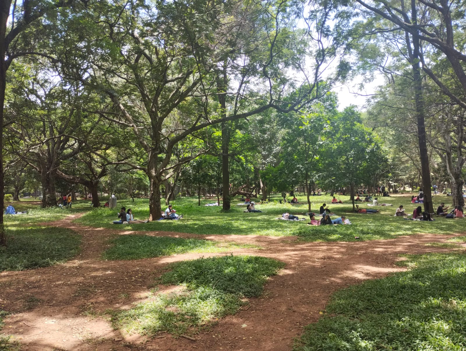 Cubbon Park regulation
