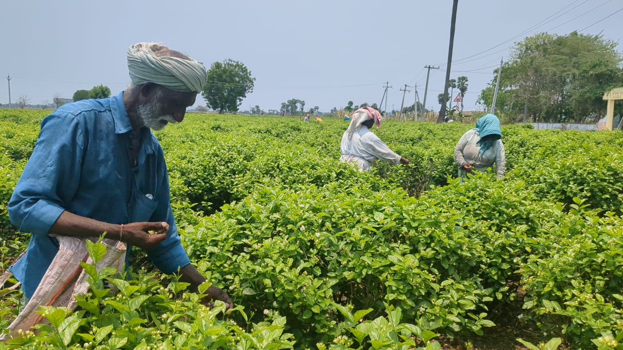Rural wages register strong growth across South Indian states; Kerala pays highest