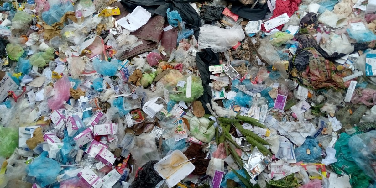 In 2024, Kerala’s green credentials took a major hit when a controversy erupted over the illegal dumping of biomedical and other wastes in neighbouring Tamil Nadu.