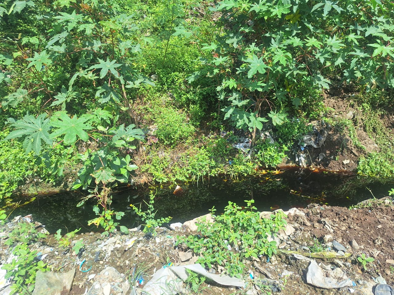 toxic water mixed with garbage in Perungudi landfill A putrid stream in Perungudi landfill.