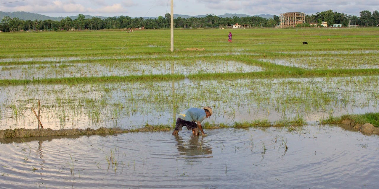 Andhra Pradesh land disputes