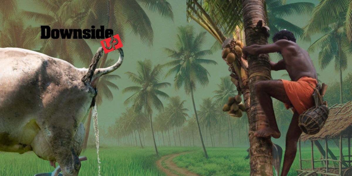 Cow urine vs Toddy Tamil Nadu stirs a healthy debate on unhealthy politics. Cow urine vs Toddy Tamil Nadu stirs a healthy debate on unhealthy politics.