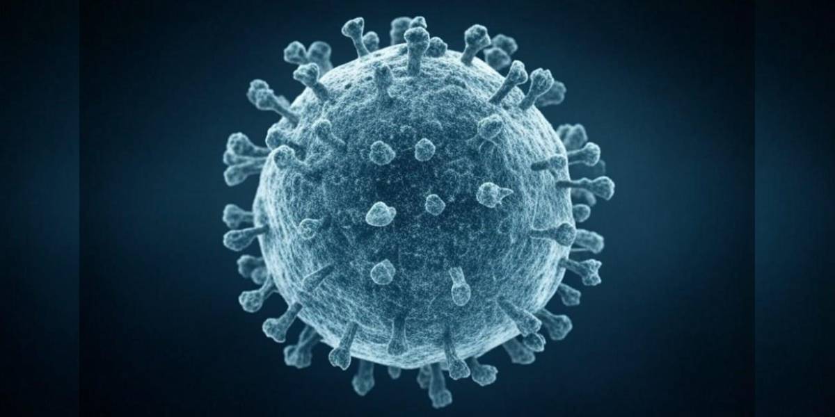 HMPV in India HMPV in India