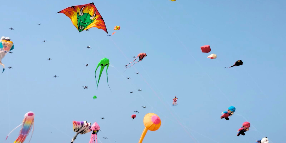 Kites are taking over the sky at the International Kite and Sweet Festival this Sankranthi