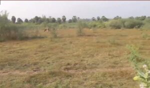 Site for the proposed brewery plant in Elappully. (Supplied)