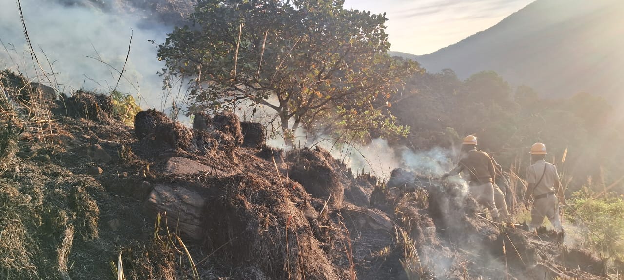 Massive wildfire ravages Charmadi Ghat, hundreds of acres of forest destroyed Massive wildfire ravages Charmadi Ghat, hundreds of acres of forest destroyed