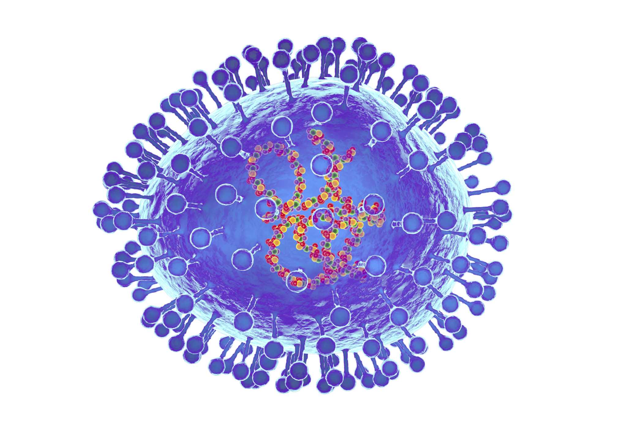 Human metapneumovirus, illustration HMPV Bengaluru