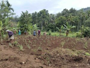 MGNREGS workers 