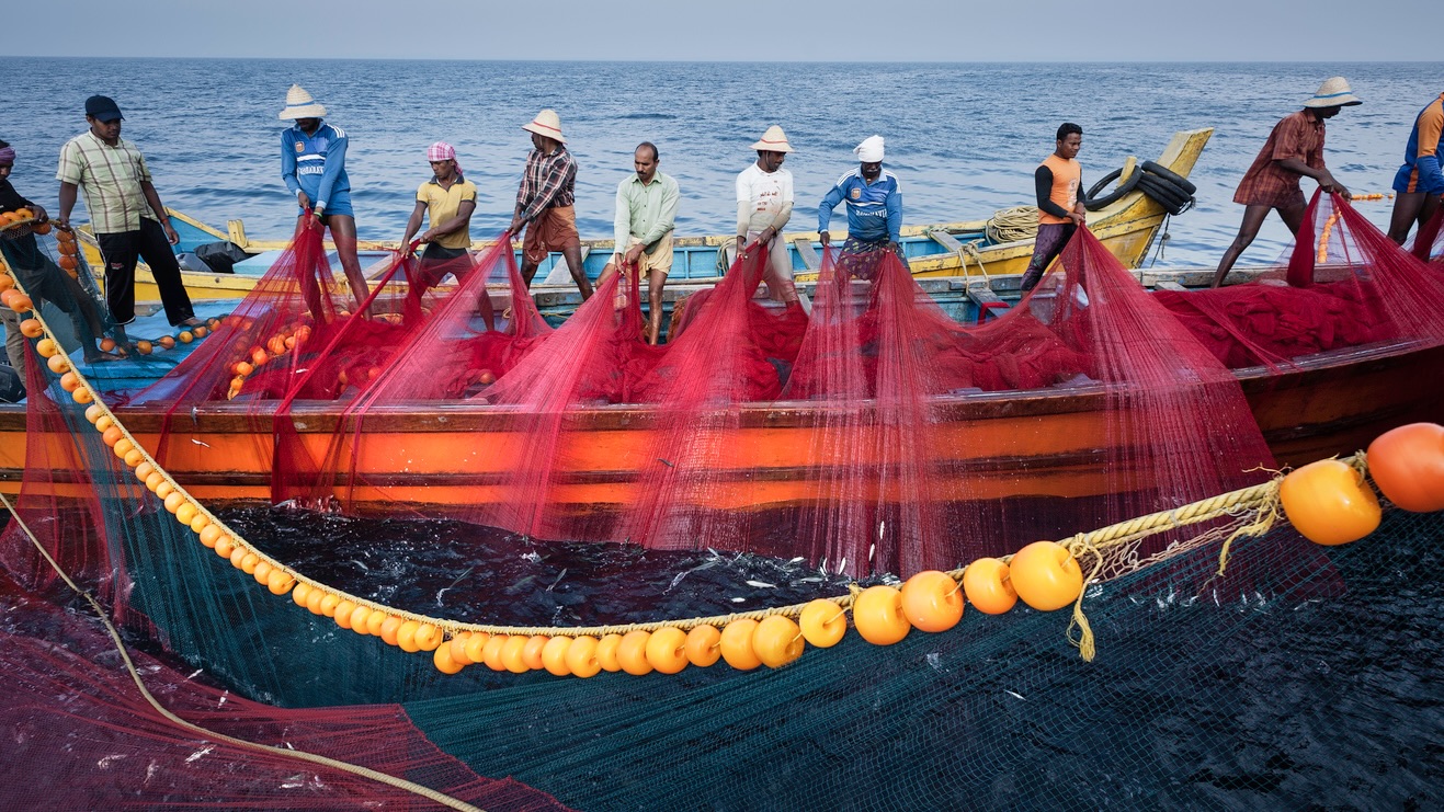 Fishermen at work, Kannur, Kerala, India. Tamil fishermen Sri Lanka