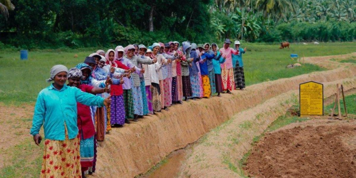 A group of MGNREGS workers in Kerala. (Facebook) A group of MGNREGS workers in Kerala. (Facebook)