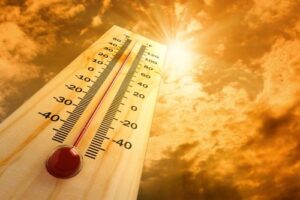 Heat is is putting rural pregnancies at greater risk in Tamil Nadu, study finds