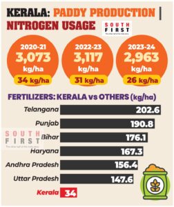 Kerala’s most popular paddy variety, Uma, requires 90 kg/ha of nitrogen.