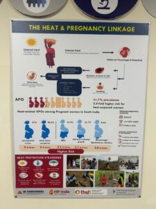 The link between pregnancy and heat