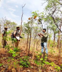 DFO Vineet Kumar in the forest