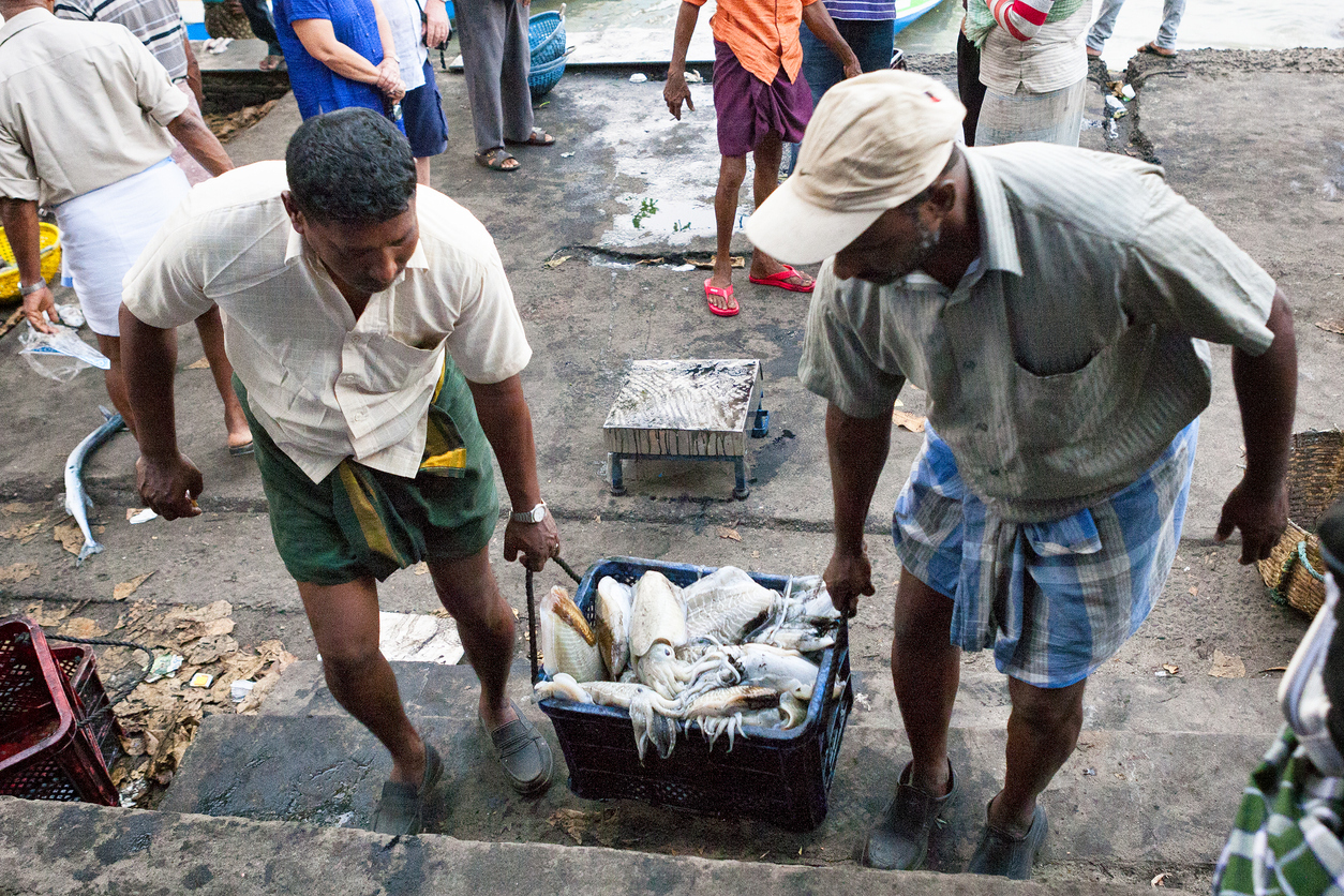 Andhra fishermen feel Trump’s tariff heat Representational image. Credit: iStock
