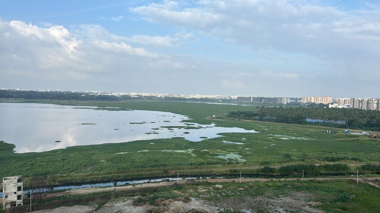 Bengaluru seems to have accepted the fate of its once famed lakes, including the one at Bellandur — a water body spread over 950 acres that was once a part of local culture and traditions.