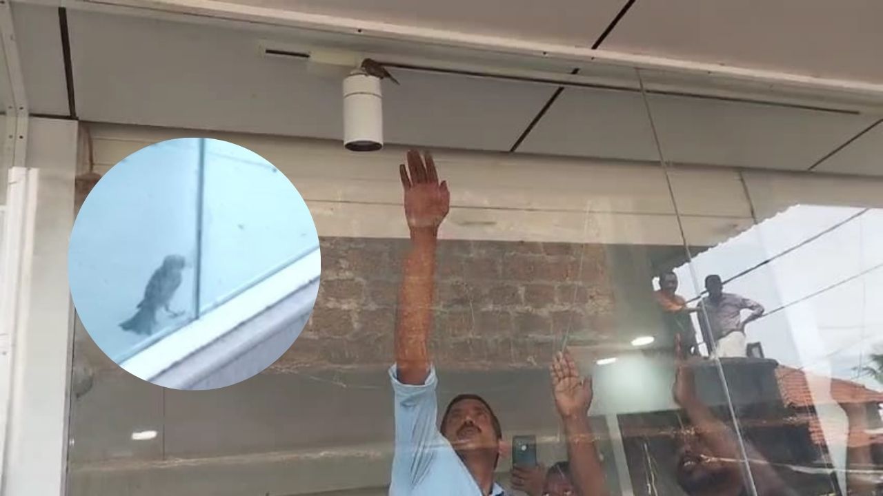 When a sparrow’s cries broke a legal seal and united a Kerala community