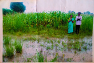 Venkataiah and his wife at the Somakunta lands