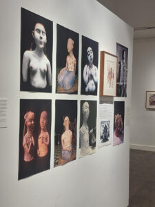 A view from the exhibition. (Amy Biju Joseph/South First)